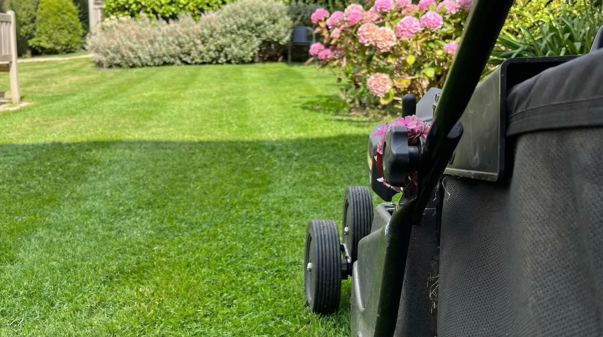 Gardeners Choice – gardening and garden maintenance