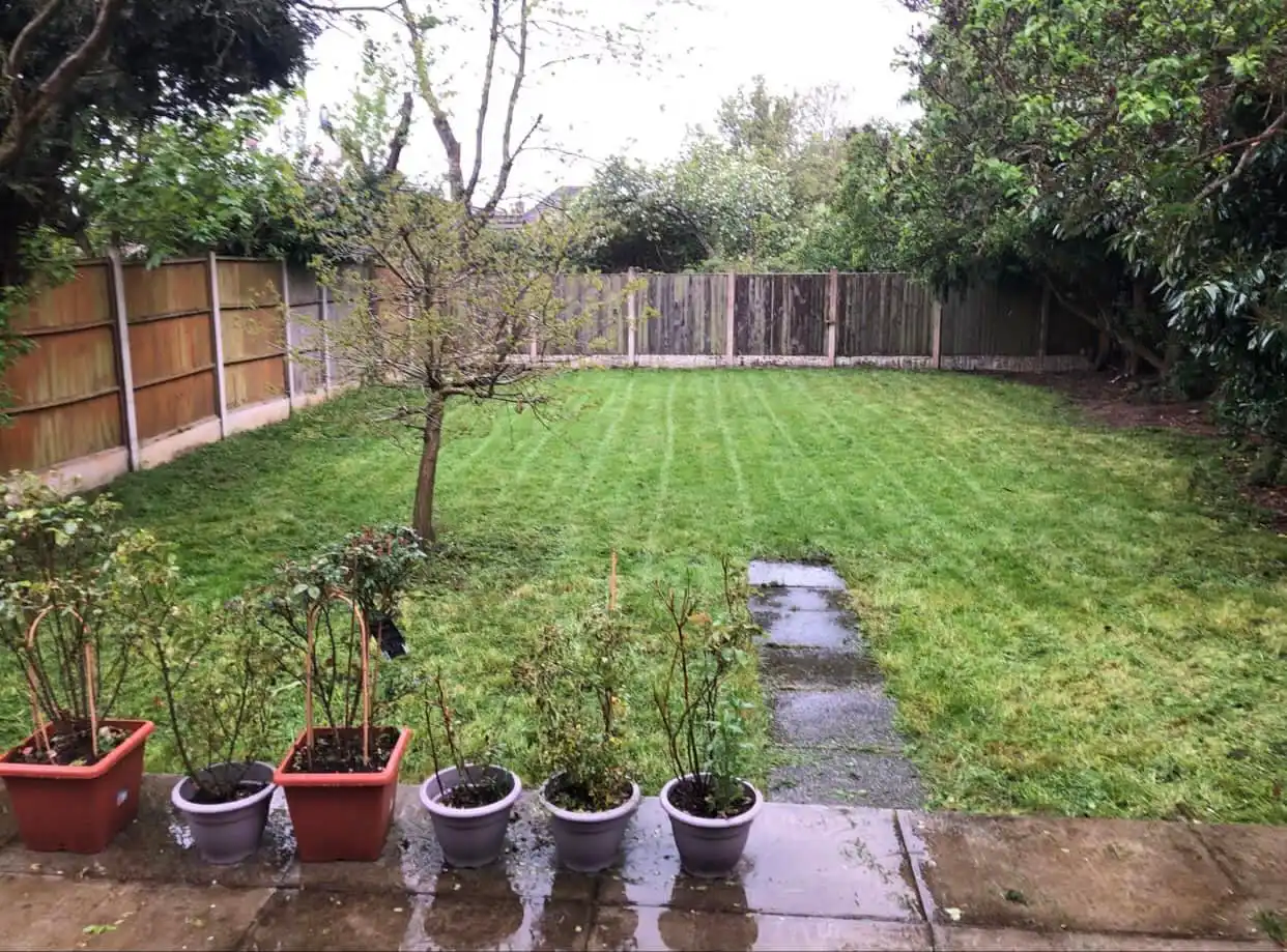 Garden maintenance and lawn care